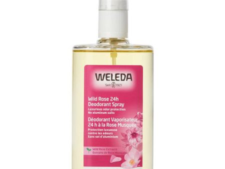 Weleda Wild Rose 24h Deodorant Spray, 3.4 oz Online