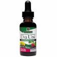 Uva Ursi Extract Liquid 1 oz from Nature s Answer Cheap