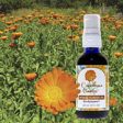 Calendula Caress, Herbal Flower Oil, 4 oz, Flower Essence Services Discount