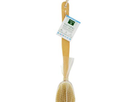 Natural Body Brush from Earth Therapeutics Discount