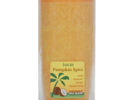 Aloha Jar Coconut Wax Blend Candle with Pure Essential Oils, Pumpkin Spice, 11 oz, Aloha Bay Online now