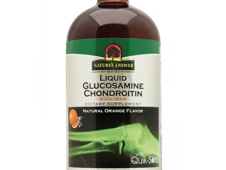 Liquid Glucosamine Chondroitin - Natural Orange Flavor, 16 oz, Nature s Answer Online