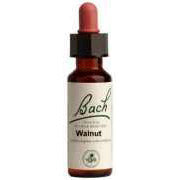 Flower Essence Walnut 20 ml from Bach Flower Essences Sale