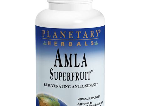 Amla Super Fruit 500 mg, Value Size, 240 Tablets, Planetary Herbals Hot on Sale