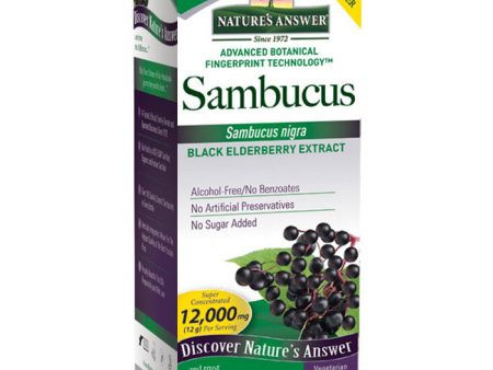 Sambucus Black Elderberry Extract Liquid - Original, 4 oz, Nature s Answer For Cheap