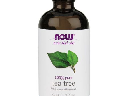 Tea Tree Oil, 4 oz, NOW Foods For Discount