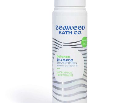 Balance Shampoo - Eucalyptus Peppermint, 12 oz, Seaweed Bath Co. Hot on Sale