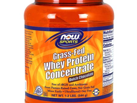 Grass-Fed Whey Protein Concentrate Powder - Dutch Chocolate, 1.2 lb, NOW Foods Online Hot Sale